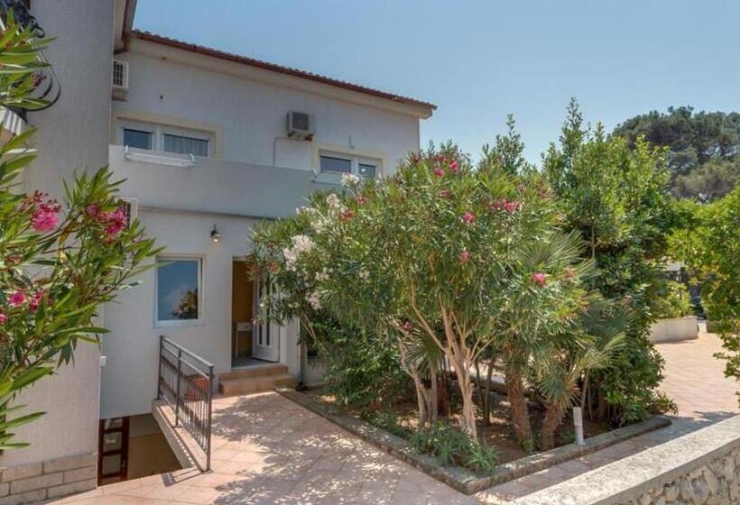 민박 Pansion Belvedere