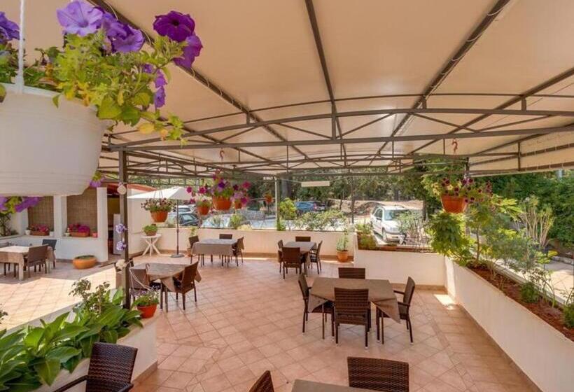 민박 Pansion Belvedere