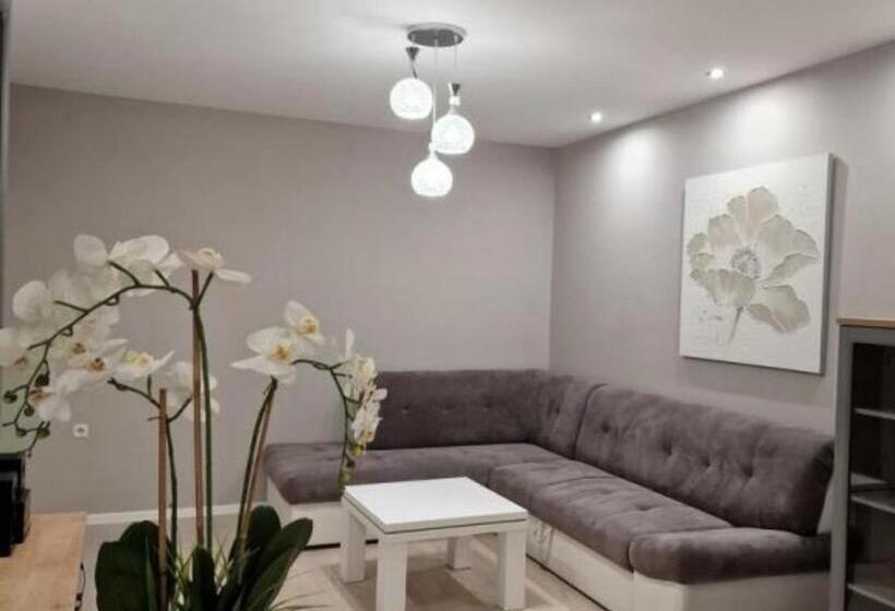 민박 Pansion Belvedere