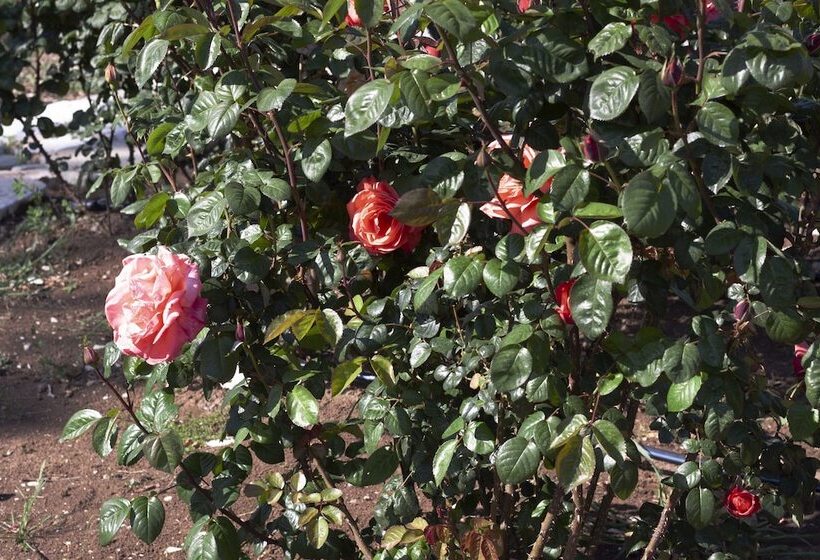 مبيت وإفطار Quarto Di Monte Suite & Spa