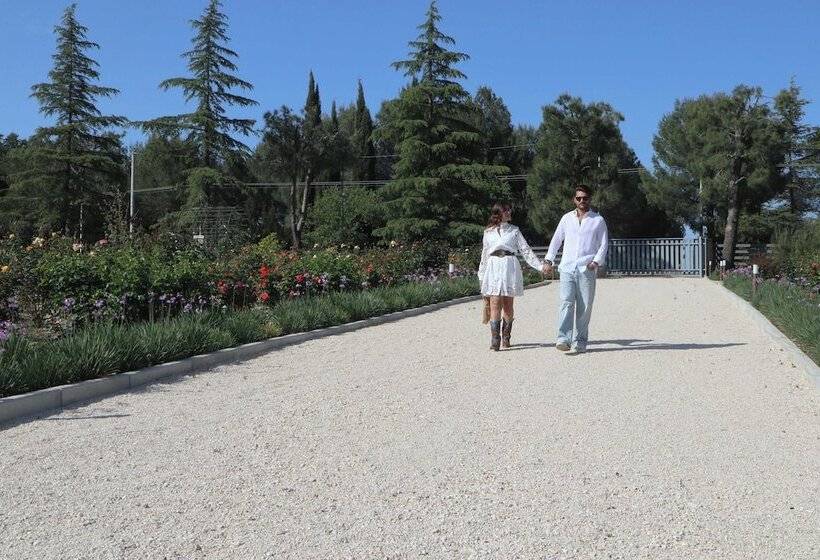 تختخواب و صبحانه Quarto Di Monte Suite & Spa