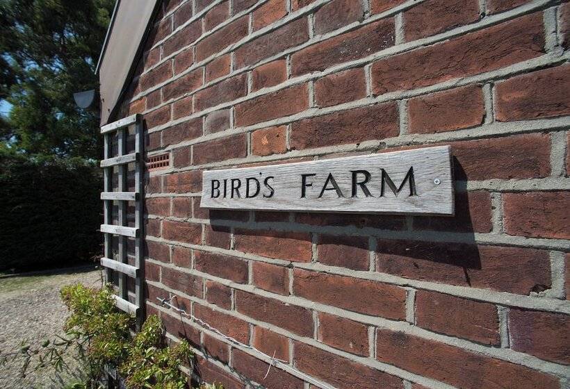 Birds Farm