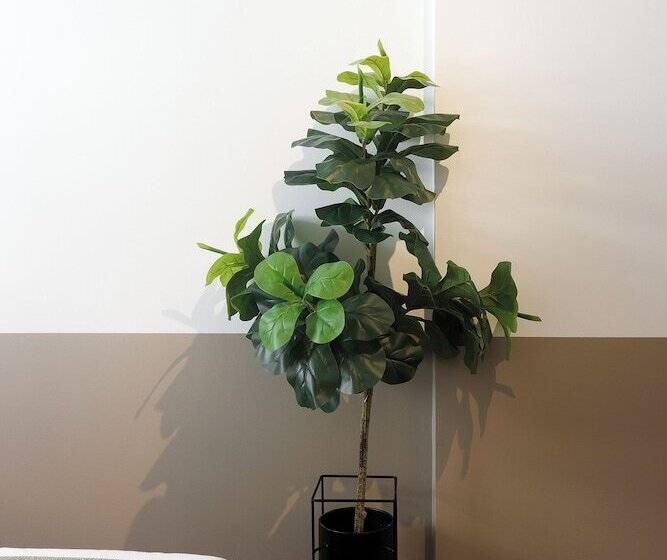 Ermass Modern Living Apartments