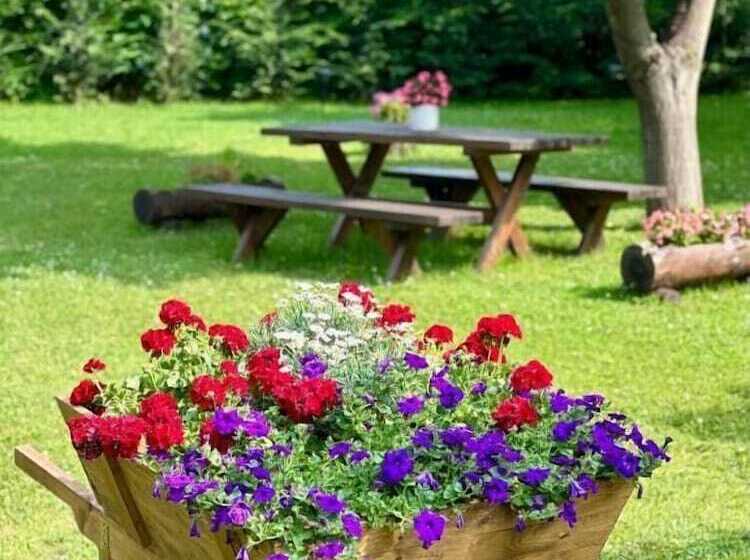 ホテル Bocca Al Lupo Villas