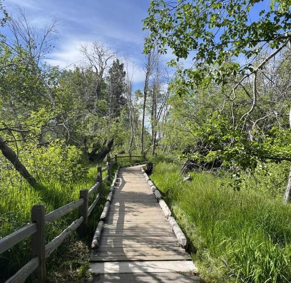 酒店 Camp Richardson Resort