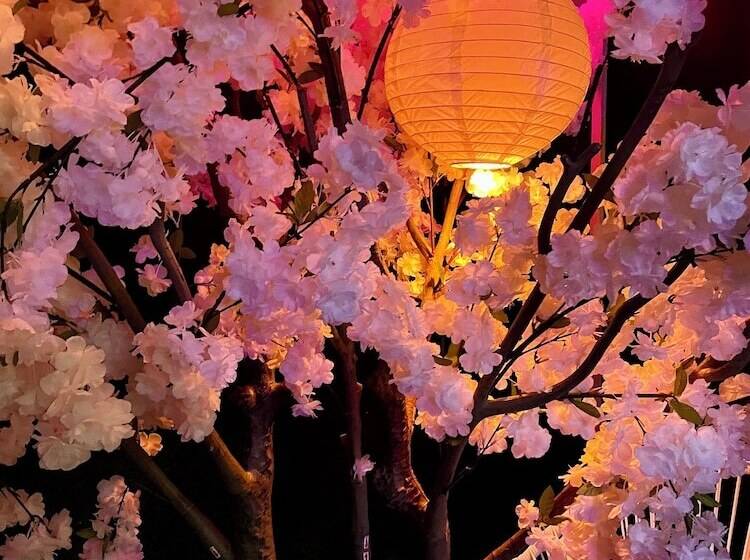 Отель La Magnifique Villa