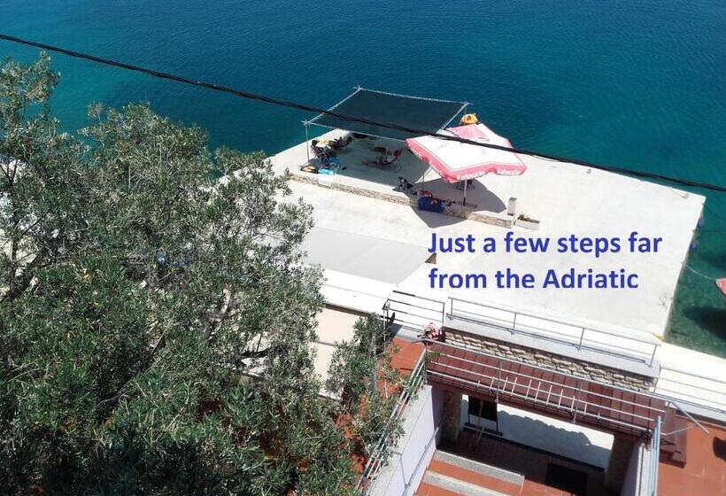 فندق Pansion Alen Dugi Otok