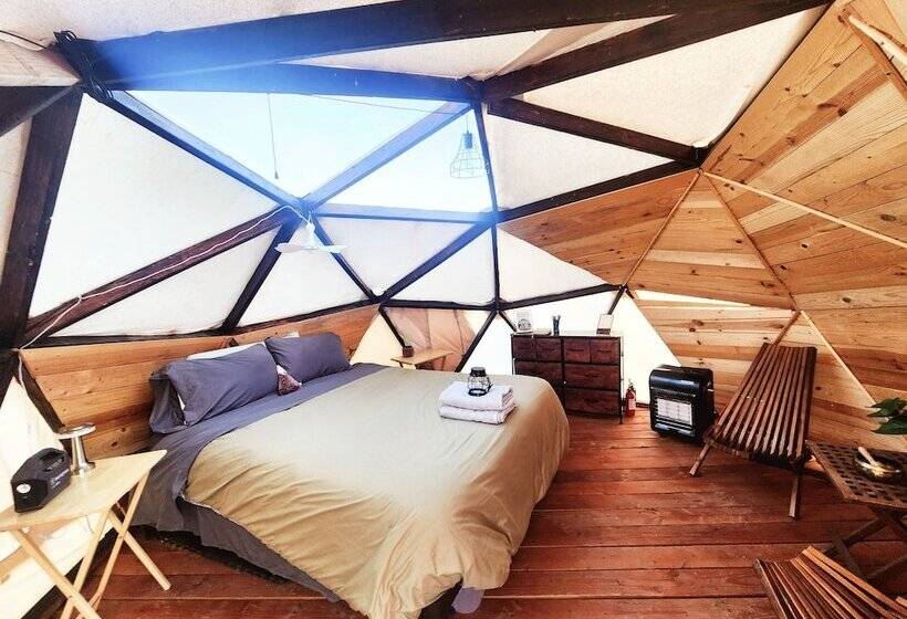 ホテル Raptor Ranch Little Owl 1