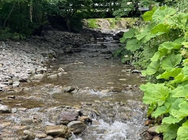 בית מלון כפרי Hornshole Hideaway Caravan Hawick