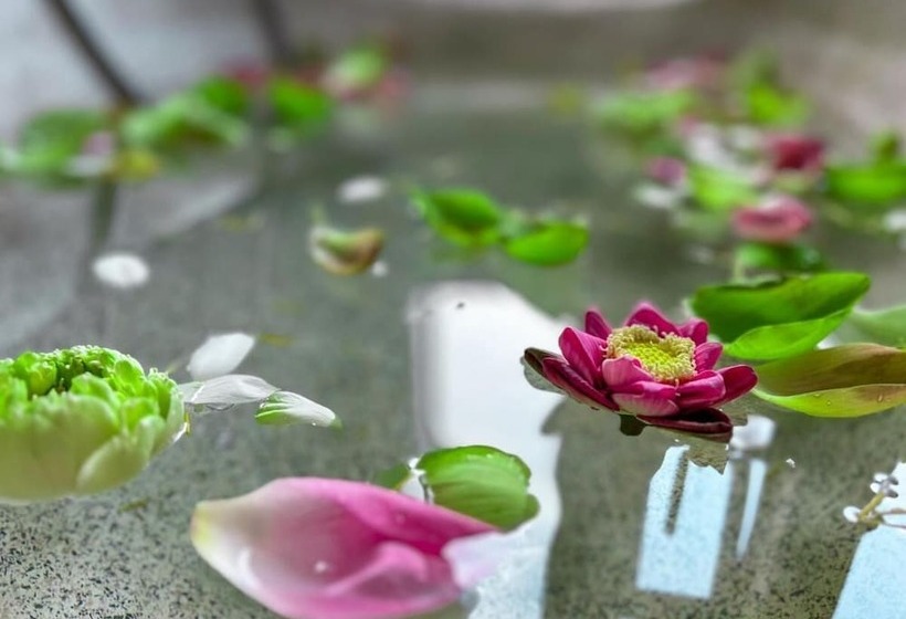 Отель The Palmery Boutique & Spa