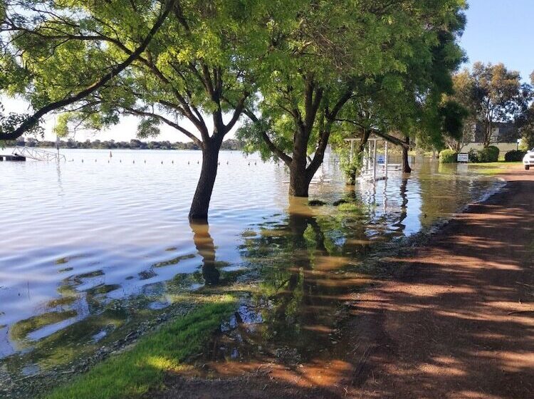 Mount Elephant Hotel Motel