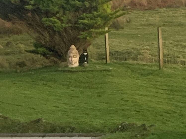 Пансион Cleadail Guest House