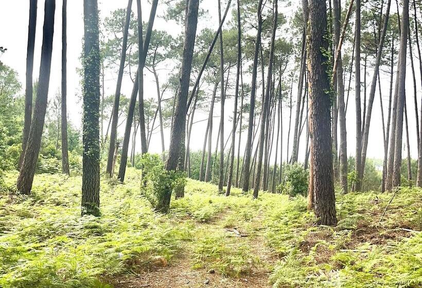 بنسيون Guest House Folk Inn