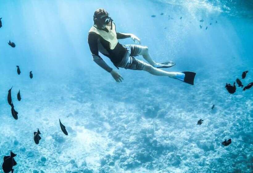 酒店 Fergus Style Punta Arabi