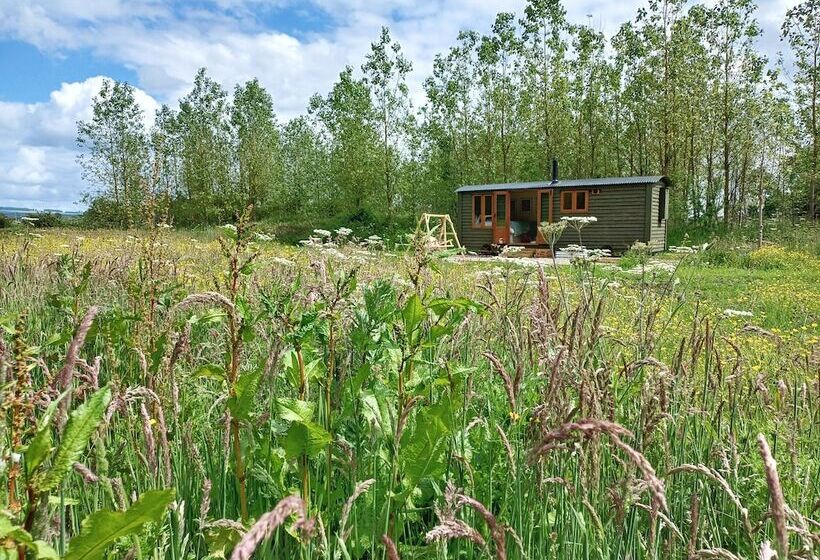 The Botanist   Luxury Cabin With Hot Tub Near York