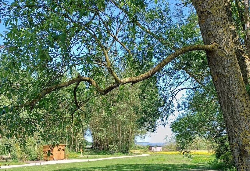 The Botanist   Luxury Cabin With Hot Tub Near York