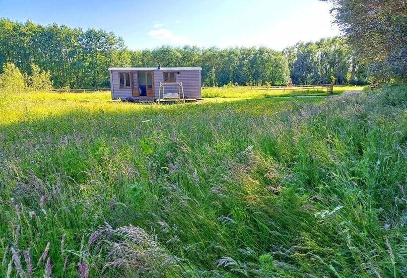 The Heartwood Luxury Cabin Near York