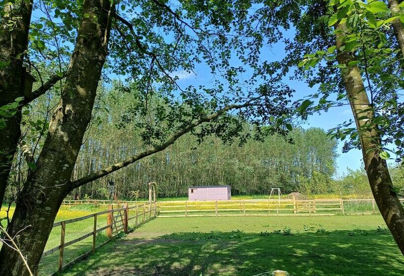 The Heartwood Luxury Cabin Near York