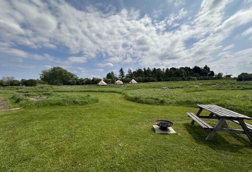 Walltree House Glamping   Cozy Glamping Experience