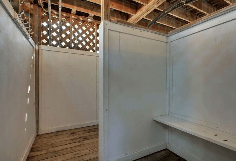 2701 Palm Boulevard By Avantstay Steps To The Beach, Ping Pong, Putting Green