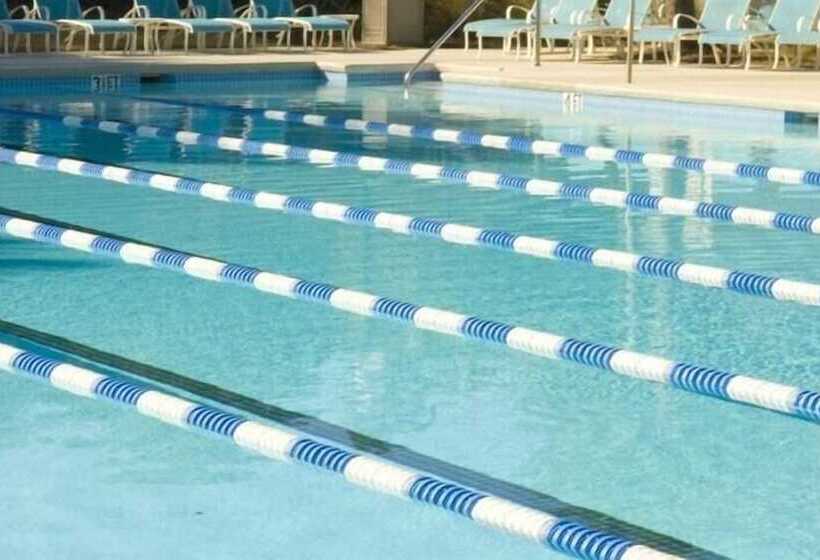 45 Ocean Point By Avantstay Amazing Views + Beach Access & Community Pool Access