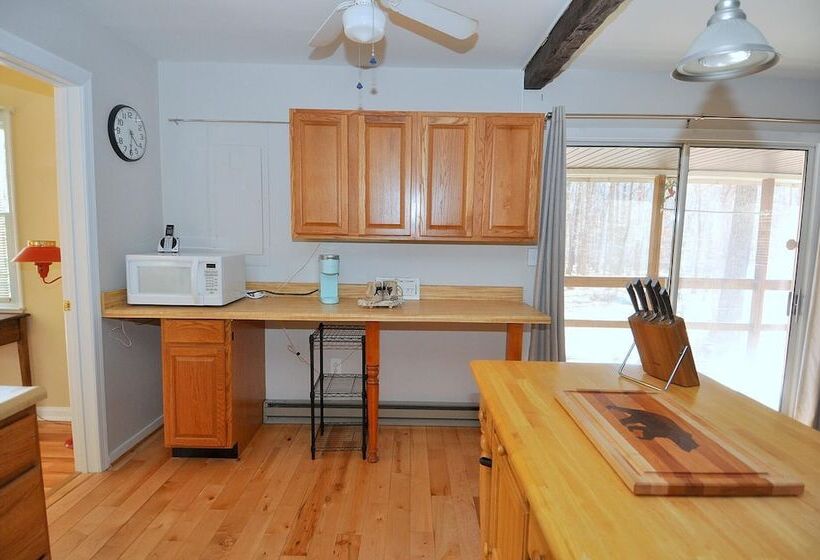 Bear Necessities  Forget Your Worries!