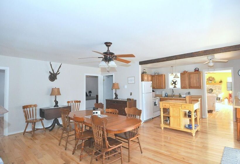 Bear Necessities  Forget Your Worries!