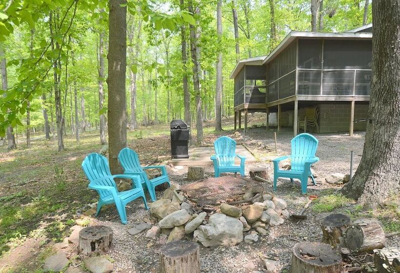 Bear Necessities  Forget Your Worries!