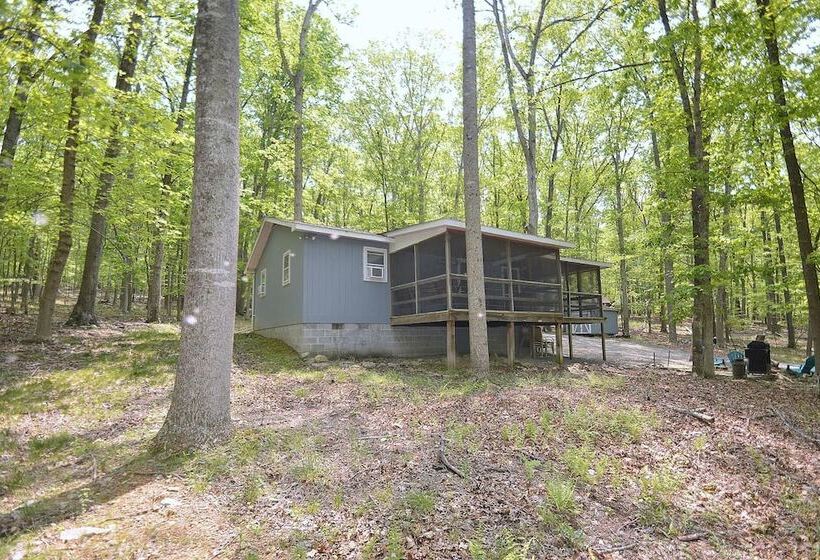 Bear Necessities  Forget Your Worries!