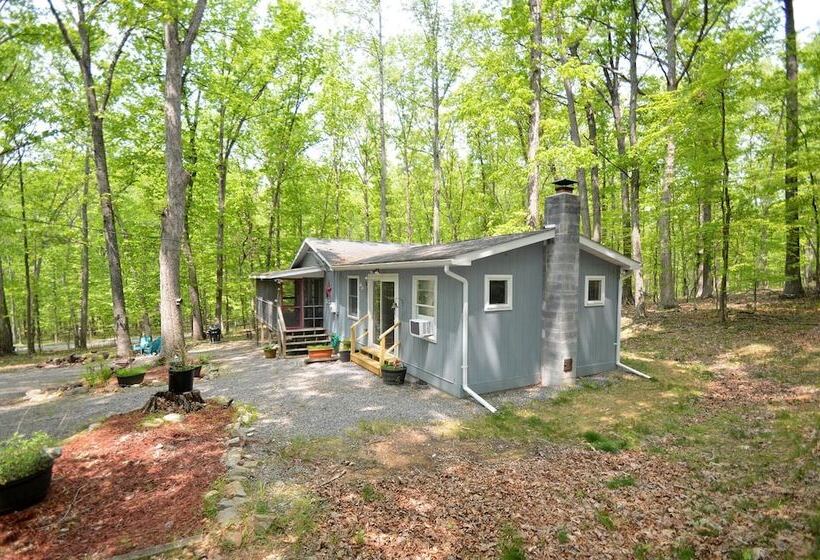 Bear Necessities  Forget Your Worries!