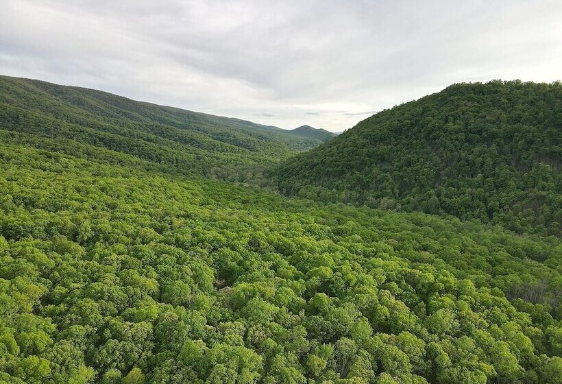 Bear Necessities  Forget Your Worries!