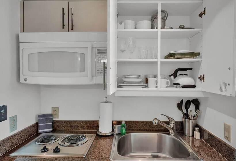 Beautiful Blue Gold Studio Ocean View