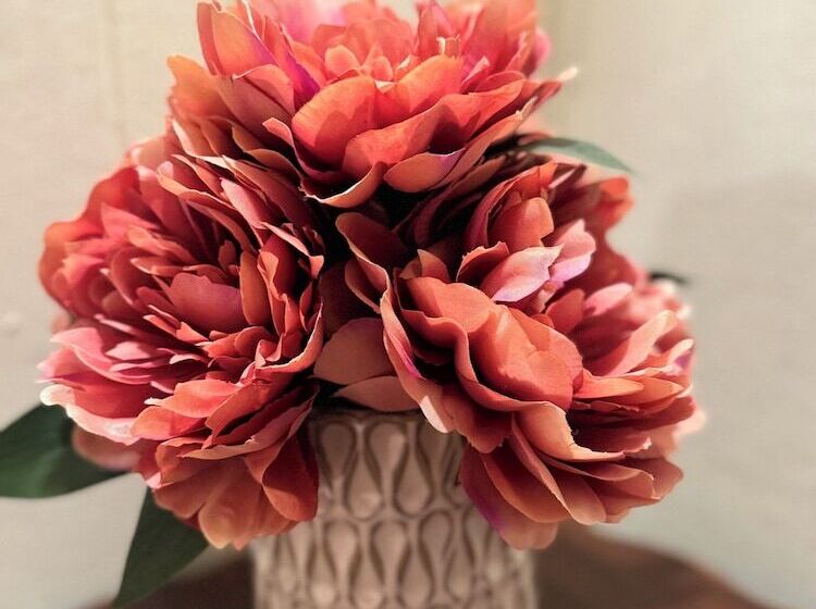 مبيت وإفطار The Boho Buffalo Inn