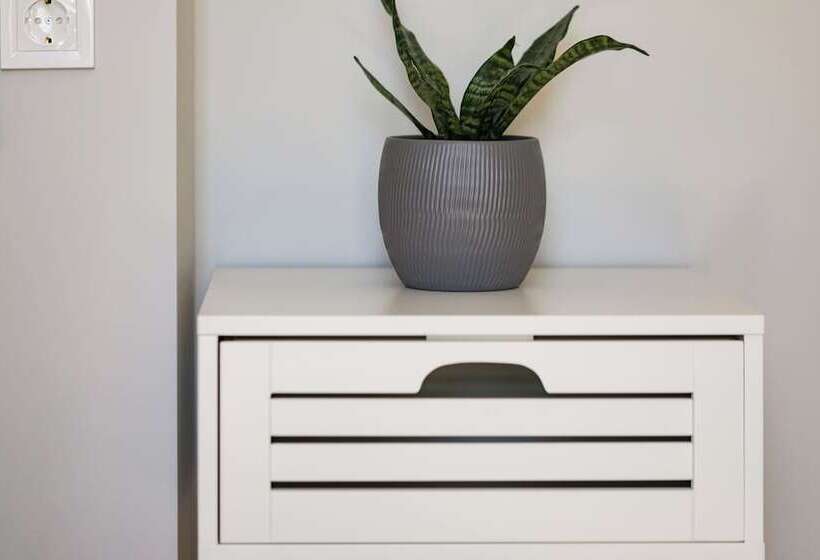 Comfort City Suites & Rooms