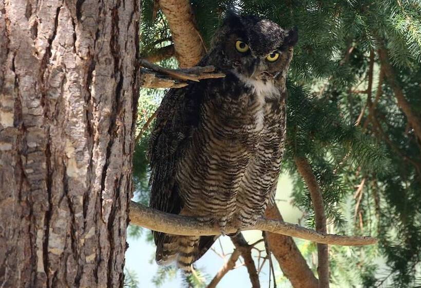 Crows Nest By Avantstay Accessible Home W/ Views