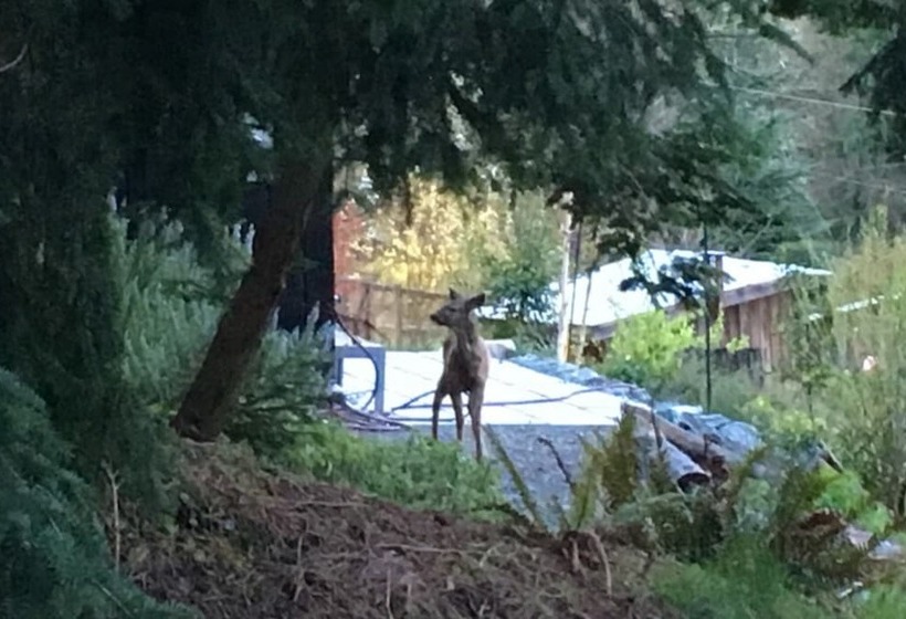 Crows Nest By Avantstay Accessible Home W/ Views