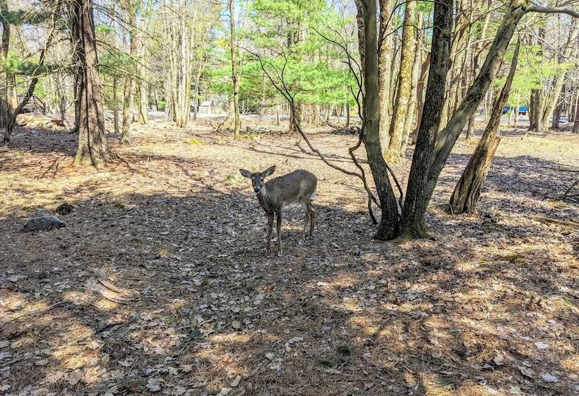 Hickory Cabin By Avantstay Firepit, Hot Tub, Game Room, Great Location