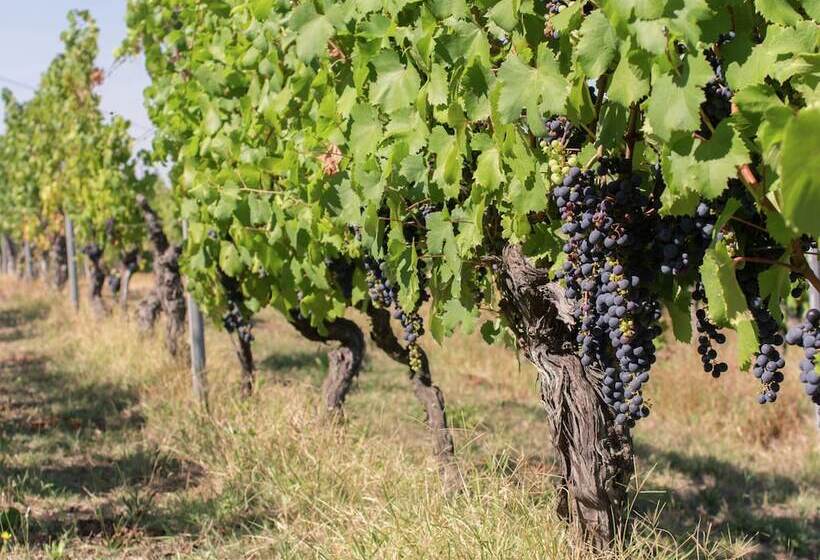 ホテル Belvilla By Oyo Torretta