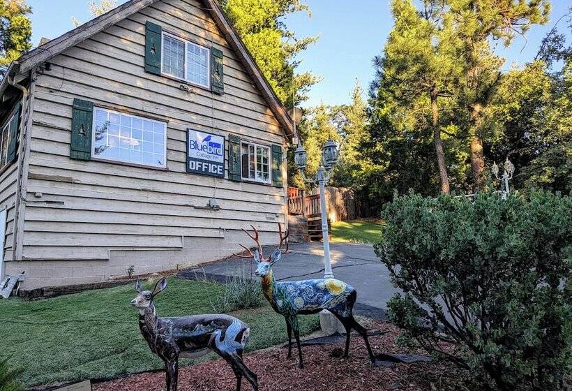 호텔 Bluebird Cottage Inn