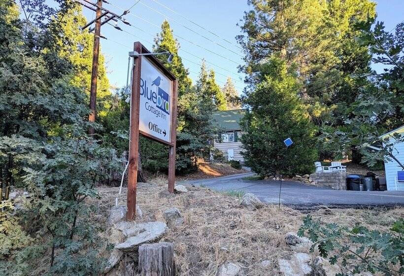 호텔 Bluebird Cottage Inn