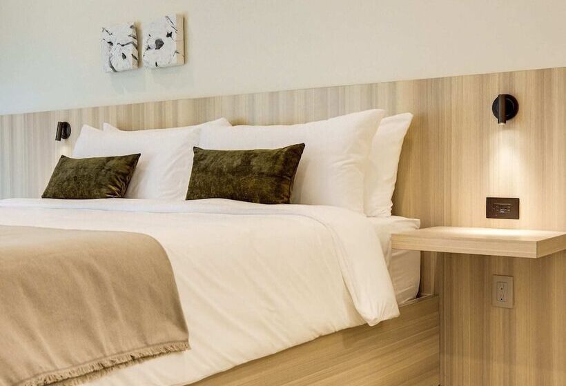 فندق Casa De La Vina