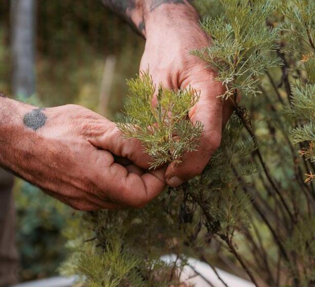 호텔 La Monastica Resort & Spa