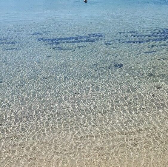 هتل Virginia Bed And Boat