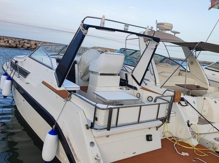 هتل Virginia Bed And Boat