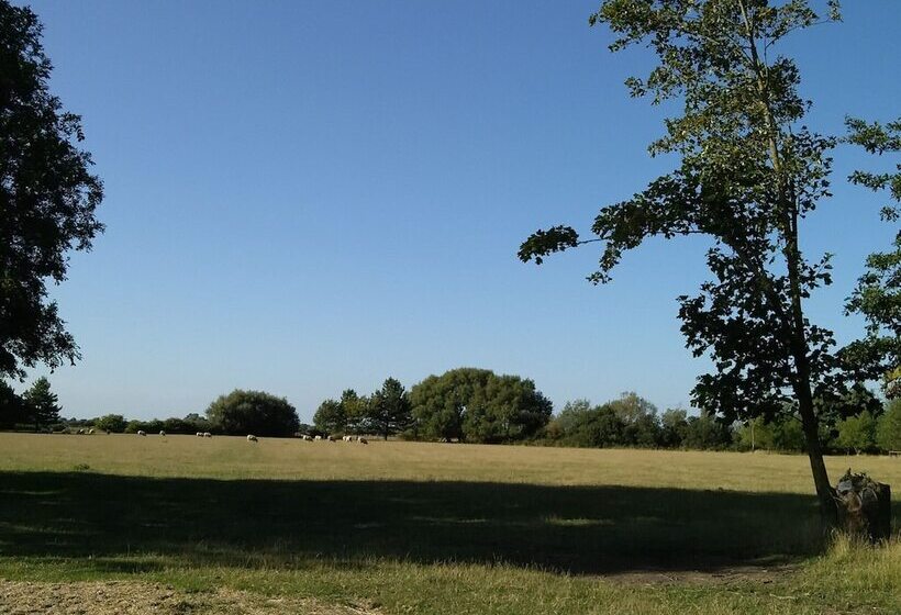 Lodge In Beautiful Kent Countryside