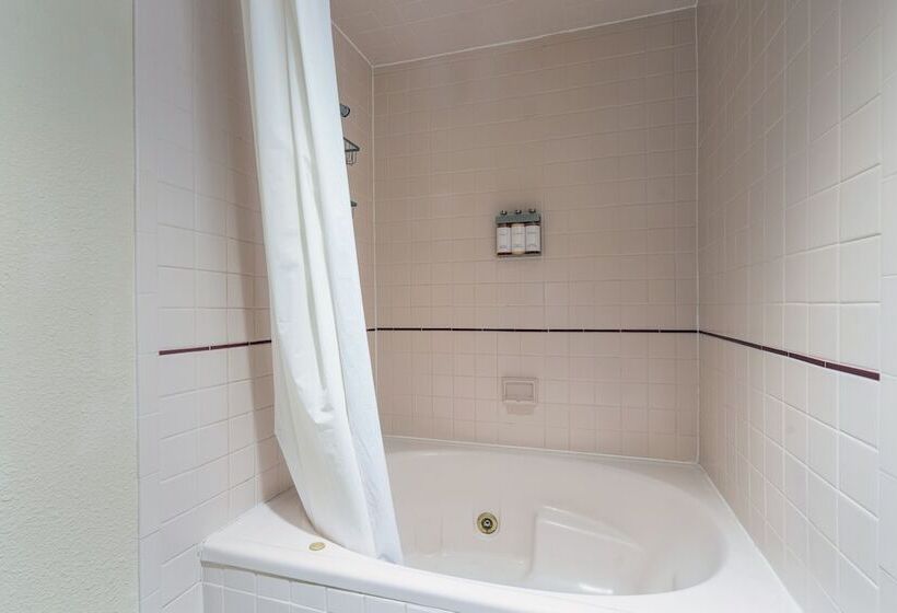 Manitou Lodge 4 Hotel Room By Alpine Lodging Telluride