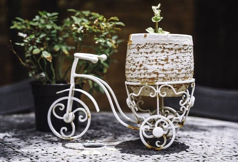 פנסיון Landa Guesthouse Self Catering Feel At Home And Enjoy Our Delicious Food