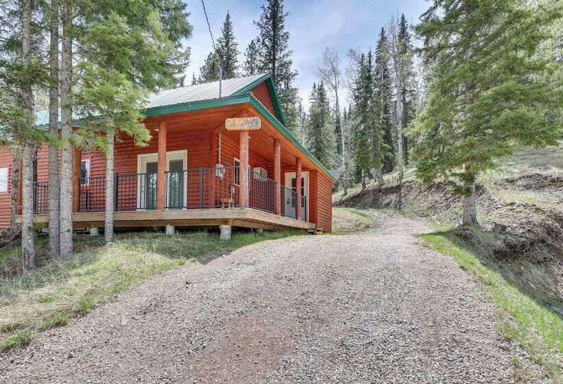 Hike, Unwind & Bring Your Pet: Deadwood Cabin!