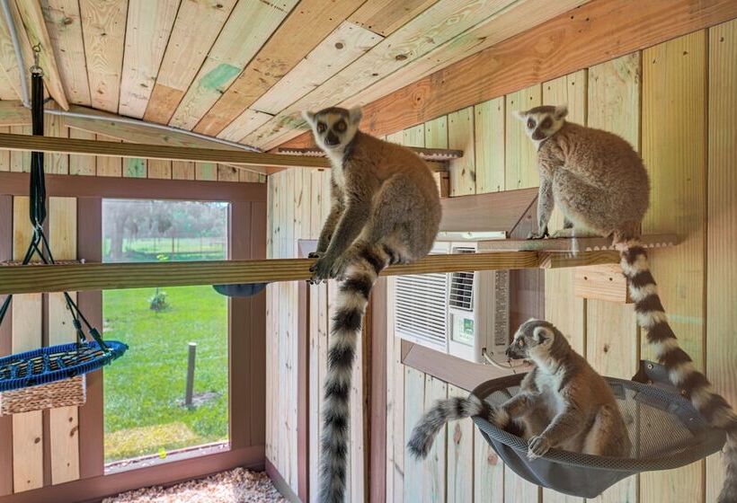 Wildlife Sanctuary On Site: Modern Webster Home!