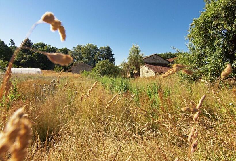 Spacious Gite With Large Terrace